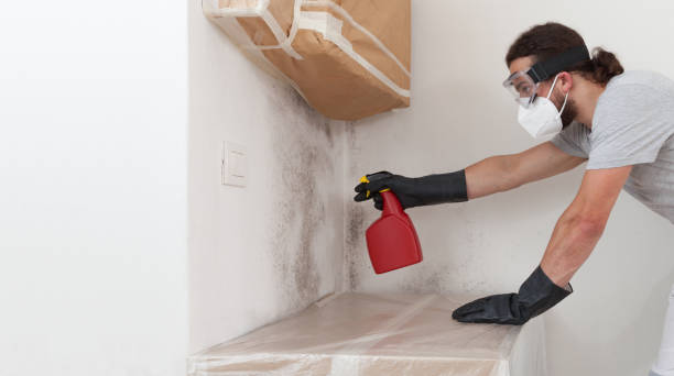 Professional Crawl Space Mold Remediation technician working in Farmingville, NY